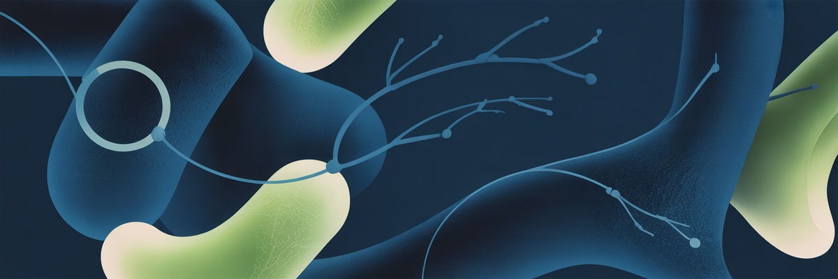 Eesti Mentorite Koda